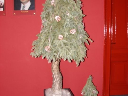 Jak Wam się podoba choinka w Urzędzie Miasta? 