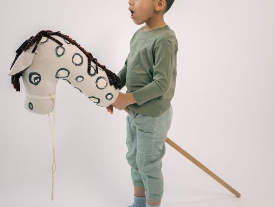 Jak zorganizować wydarzenie z udziałem Koników na Patyku: porady i inspiracje