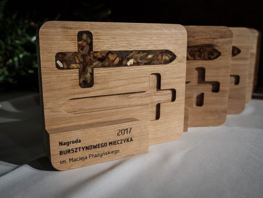 Jakie organizacje pozarządowe były najbardziej aktywne? Poznaliśmy laureatów Bursztynowego Mieczyka 