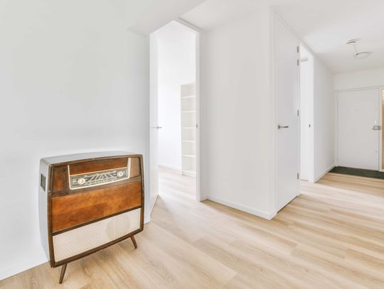 Jakie są wymiary paneli podłogowych?