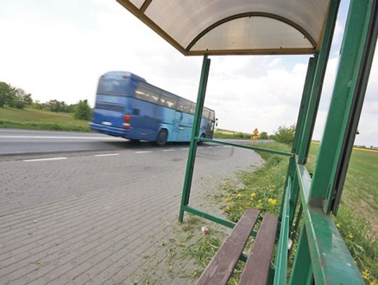 Jeden z gimnazjalistów stał na czatach, drugi kopał w szybę przystanku