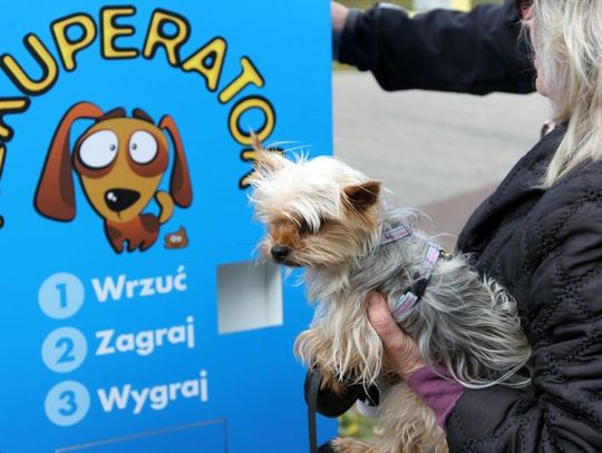 „Jednoręki bandyta” do sprzątania psich kup