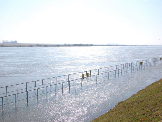 Już 790 cm wody na Wiśle w Tczewie. W piątek stan alarmowy na 90 proc.