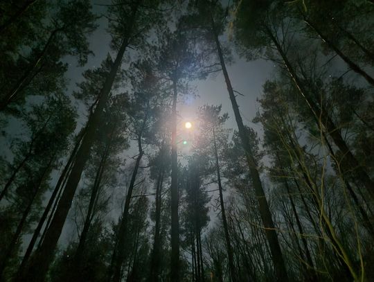 Już w weekend Nocny Rajd na Orientację Malo '25 Już w weekend Nocny Rajd na Orientację Malo '25