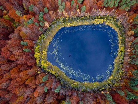 Kacper Kowalski Efekty Uboczne w Muzeum Miasta Gdyni