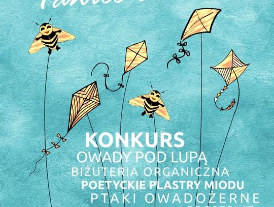 Karnawał Latawców na Wyspie Sobieszewskiej