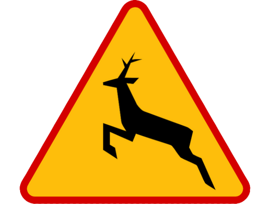 Kierowca potrącił przebiegające dziki. Policjanci apelują o ostrożność