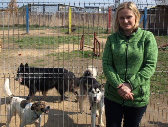 Kierownik schroniska: Ludziom brakuje sumienia i odpowiedzialności