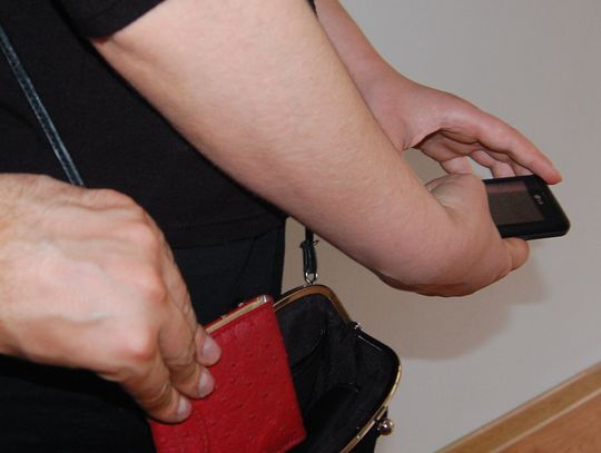 Kieszonkowiec - turysta, z "występkami" zawitał do Sopotu