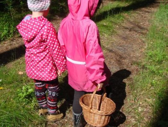 Kleszcze atakują! Jak bronić się przed groźnymi pajęczakami? 