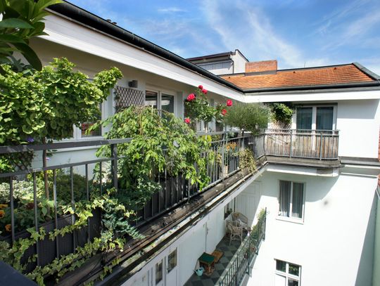 Klimat dżungli na balkonie? To możliwe! 