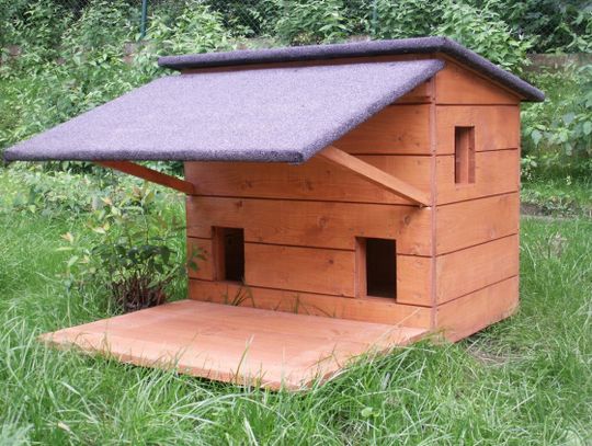 Koci domek do wzięcia