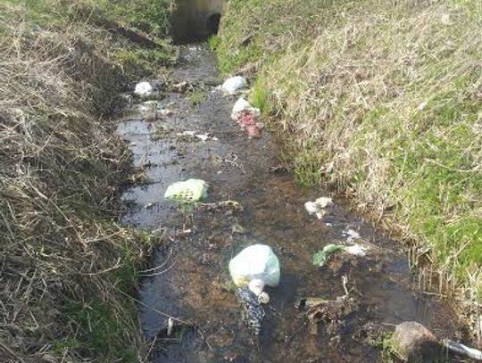 Kociewie tonie w śmieciach. Dbanie o naturę to sprawa nas wszystkich