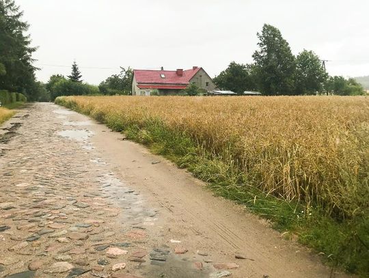 Kolejna duża inwestycja w Gminie Potęgowo. Rozpoczęto przebudowę drogi powiatowej Grąbkowo - Runowo