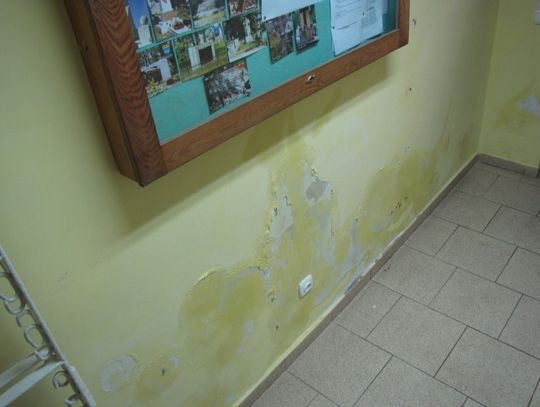 Kombatanci w zamrażalni