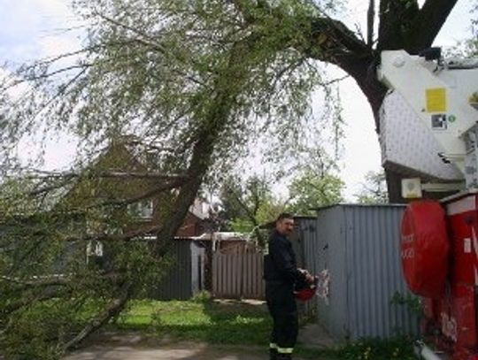 Konar zagrażał życiu