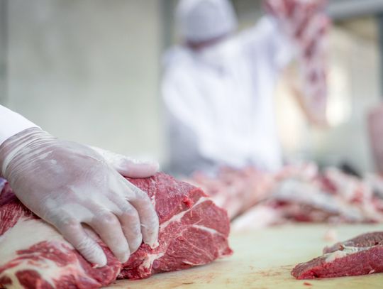 Kotleciarka - do czego służy w restauracji?