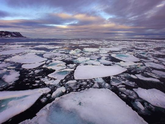 Kpt. Sodkiewicz - „Barlovento II”: Pierwsze pole lodowe za nami