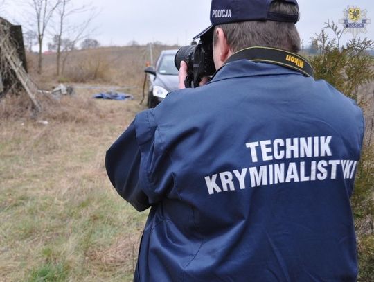 Kryminali zabezpieczyli znaczną ilość narkotyków 