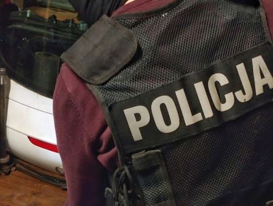 Kryminalni rozbili grupę przestępczą zajmującą się kradzieżami samochodów