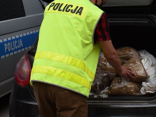 KRYMINALNI Z FUNKCJONARIUSZAMI POMORSKIEJ KAS ZABEZPIECZYLI 65 KILOGRAMÓW NIELEGALNEGO TYTONIU.