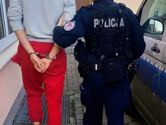 Kryminalni z Gdańska złapali kolejnego grafficiarza