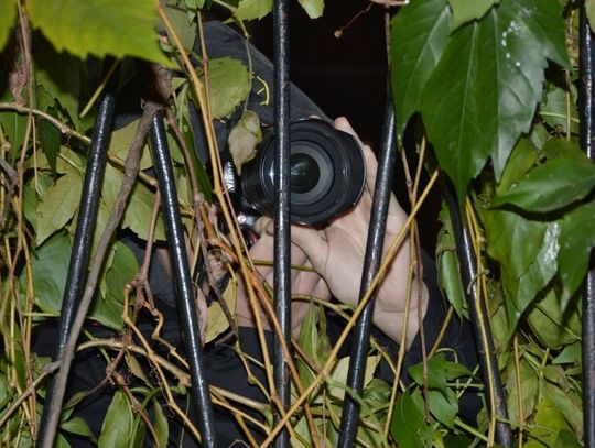 Ktoś kręci się pod szkołą i obserwuje dzieci. Kim jest podejrzany typ?