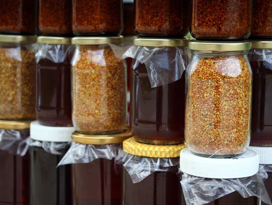 Kulinarni złodzieje zatrzymani