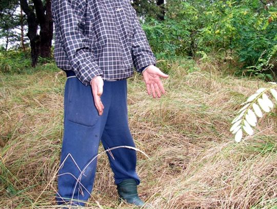 Kupił działkę z grobami… Dokopał się do guzików