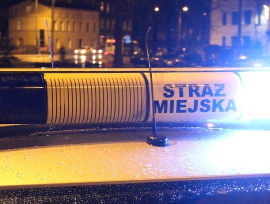 Kurier bez prawa jazdy w ciągu kilku godzin otrzymał trzy mandaty.