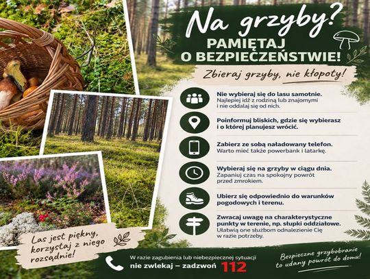 Las potrafi zmylić nawet doświadczonych. Policja przypomina grzybiarzom o bezpieczeństwie