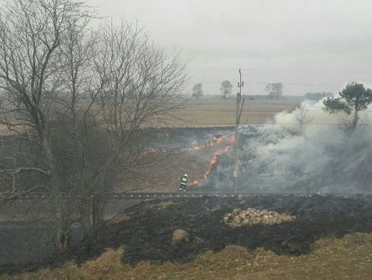 Lawinowy wzrost ilości pożarów traw
