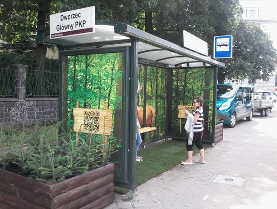 Leśny zagajnik w centrum miasta