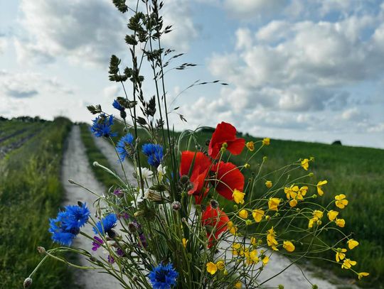 Letnie hity z dzieciństwa. Tak wyglądały wakacje na Kociewiu kilkanaście lat temu