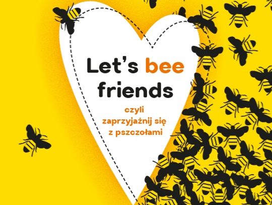 Let’s Bee Friends, czyli zaprzyjaźnij się z pszczołami