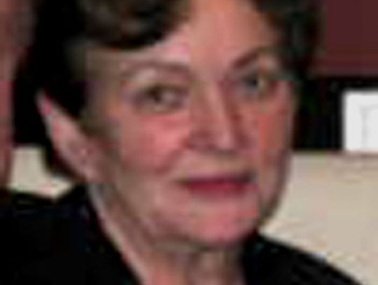 Lewy prąd na posesji radnej Platformy, a zarzuty ma szwagier