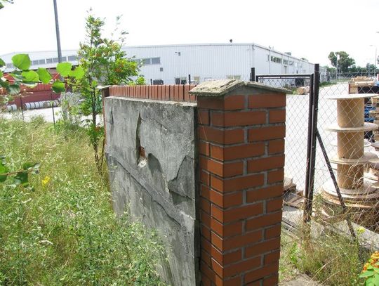 Libacje na cmentarzu. Kirkut na „Żydowskiej Górce” czeka na uporządkowanie