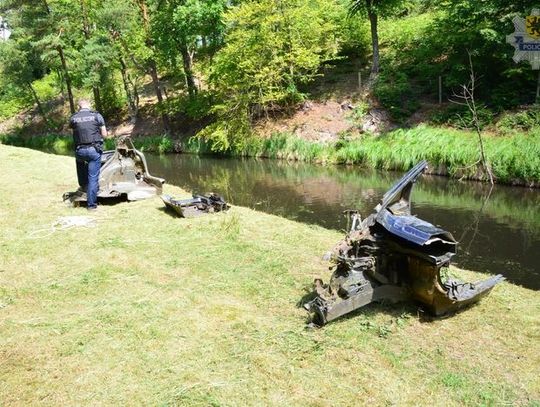 Likwidacja &quot;dziupli&quot; - 11 osób zatrzymanych