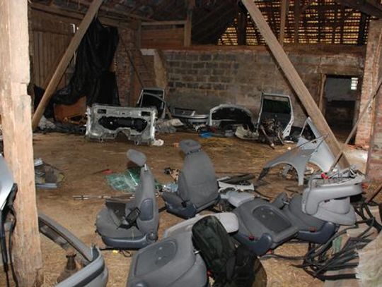 Likwidacja dziupli - ojciec z synem w "ciętym autointeresie"