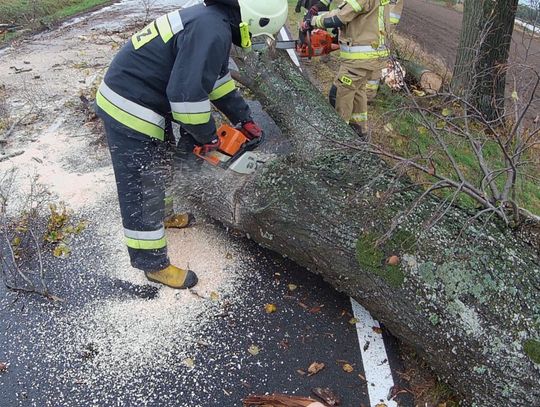  Likwidacja skutków porywistych wiatrów.  UWAGA! Wichura przechodzi przez Powiśle!