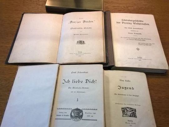 Literatura gdańska na przełomie XIX/XX w.