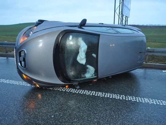 Łoś na autrostradzie. Dachowanie na A1