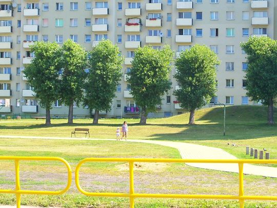 Los topól przesądzony