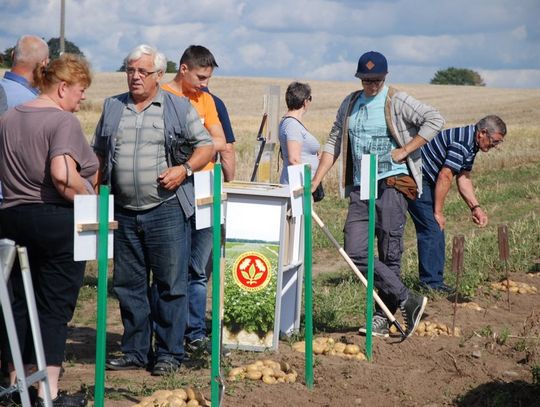 Lubań. Dzień Ziemniaka w PODR 