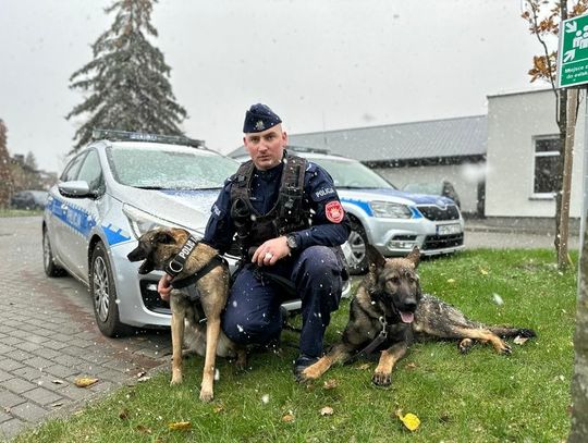 Luna jest nowym psem w wejherowskiej komendzie policji