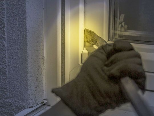 Łupem nastoletniego złodzieja: przedłużacze, mieszadła i halogeny ledowe