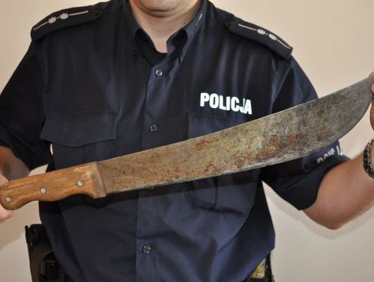 Maczetą w samochód, groził policjantom, że ich pobije