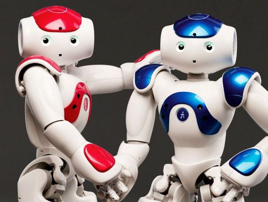 Mają ponad pięćdziesiąt centymetrów wysokości, poczucie humoru, łaskotki