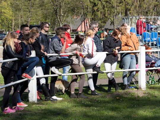 Majówka w Starogardzie Gd. - Zobacz, jak świętowali mieszkańcy!