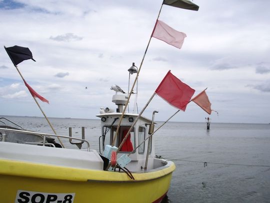 „Majówka z Ryszardem Kaliszem”
